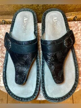 ALEGRIA Woman’s Codi Sandals Tobacco Tar Style COD-520; Size 40/ size 9.5-10